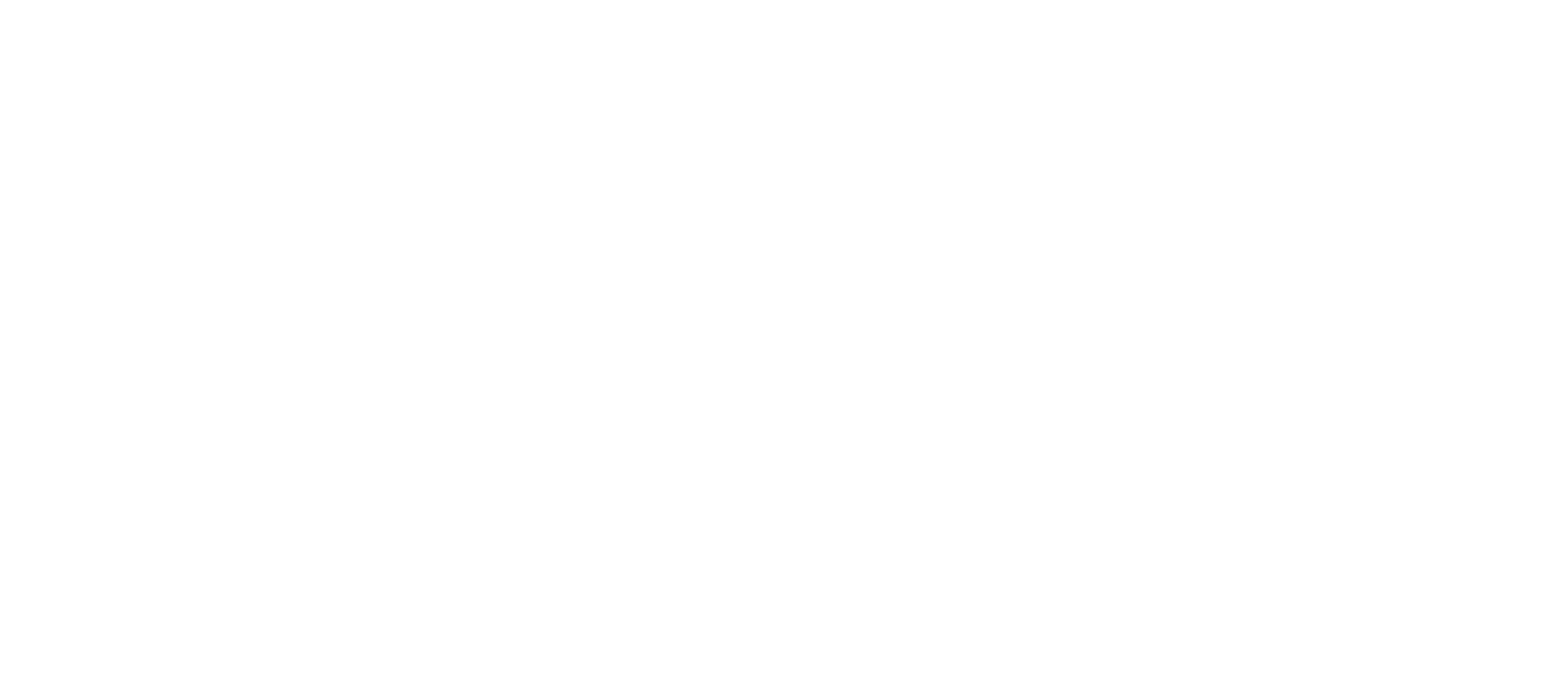RIMA Aviação