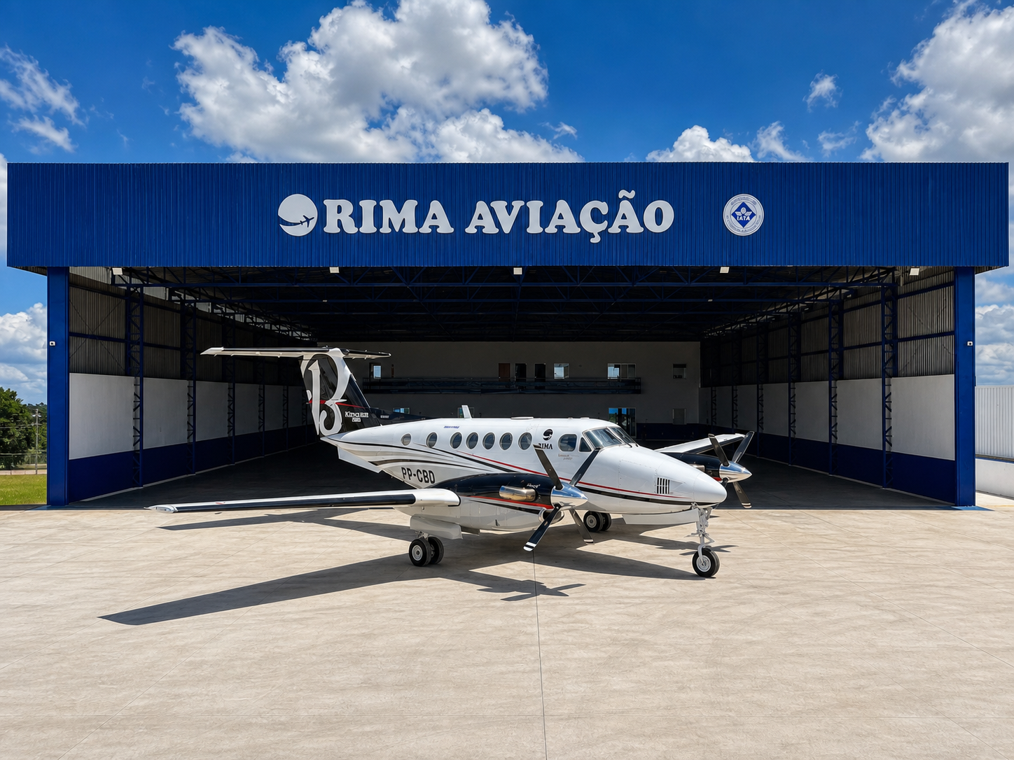 King Air B200 RIMA